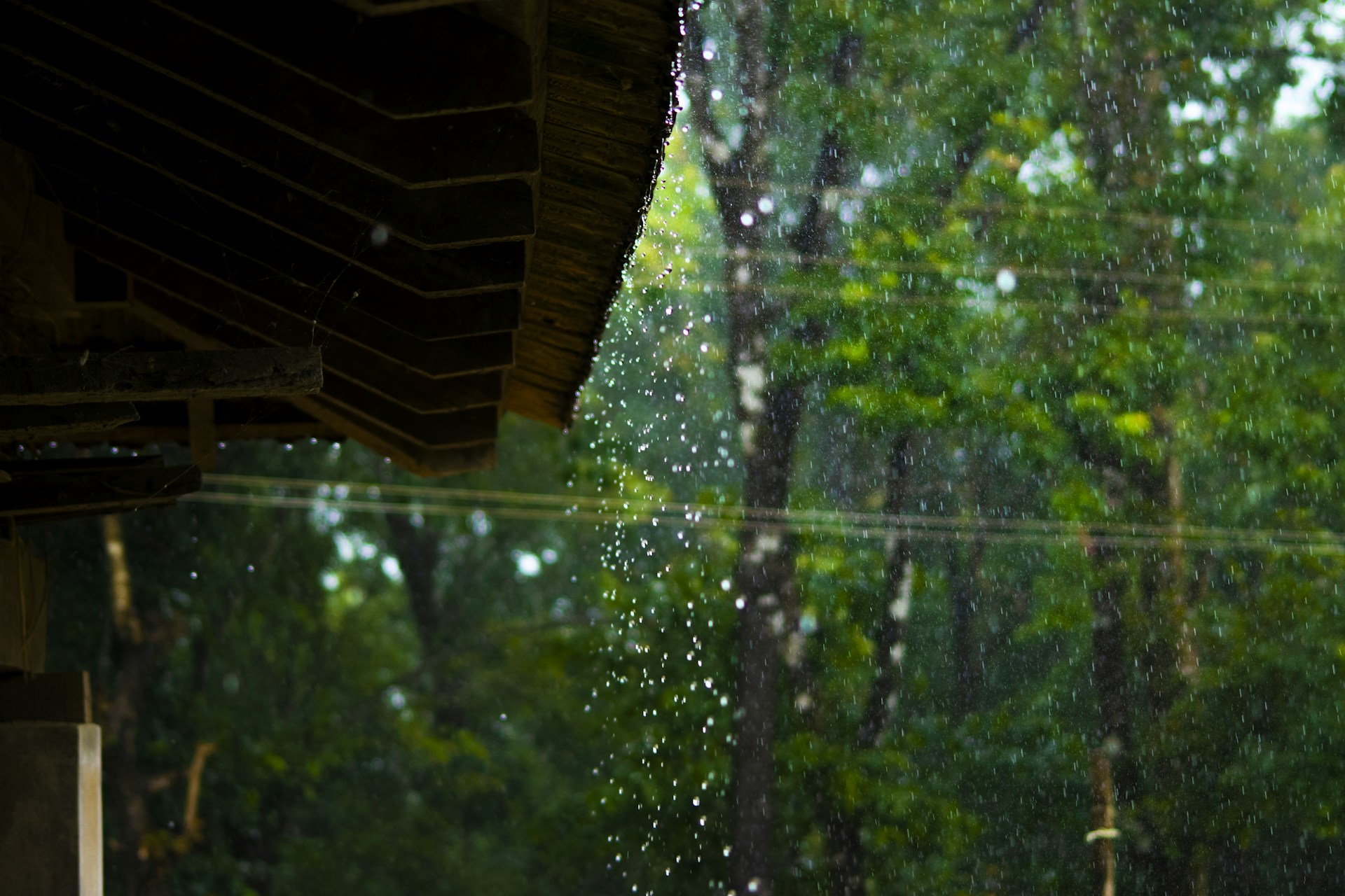 Tamil Nadu rainwater harvesting policy mandatory rules for homeowners 2026 - RPV Wisy WISY filters